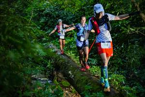 BIB: 
                            <button type="button" onclick="openModal(18922040)" class="btn btn-primary btn-sm float-right btn-popup" data-toggle="modal" data-target=".modal-high-quality">
                        <i class="fas fa-shopping-cart"></i> Add to Cart
                    </button>
                                            <button type="button" onclick="isThisMe(18922040, true)" class="btn btn-success btn-sm float-right btn-popup btn-isme hidden" data-toggle="tooltip" data-placement="bottom" title="นี่คือรูปของคุณใช่ไหม คลิกที่นี่เพื่อเอาเข้าอัลบั้ม">
                        <i class="fas fa-plus"></i> Add to album
                    </button>
                    <button type="button" onclick="isThisMe(18922040, false)" class="btn btn-warning btn-sm float-right btn-popup btn-isnotme hidden">
                        <i class="fas fa-ban"></i> Remove from album
                    </button>